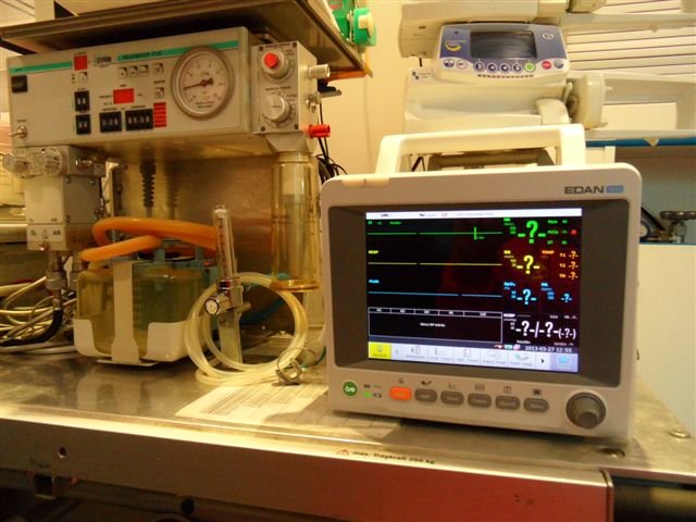 Szegedi Újszülött Életmentő Szolgálat Alapítvány - Szeged