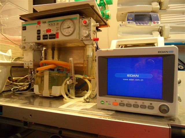 Szegedi Újszülött Életmentő Szolgálat Alapítvány - Szeged