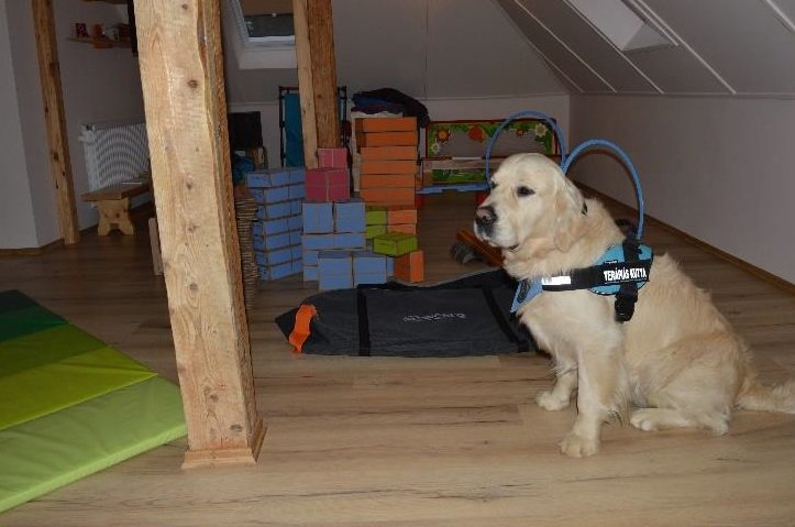 Csiga-Biga Mozgás-és képességfejlesztő Alapítvány - Szekszárd