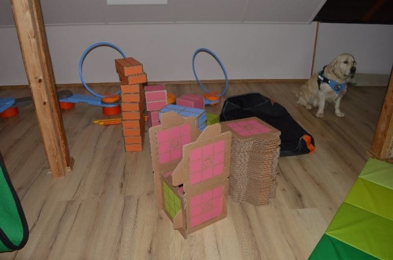 Csiga-Biga Mozgás-és képességfejlesztő Alapítvány - Szekszárd