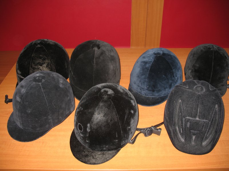 Magyar Lovasterápia Szövetség Alapítvány - Fót